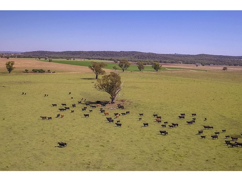 KINDON/2824 Neilrex Road, Neilrex NSW 2831