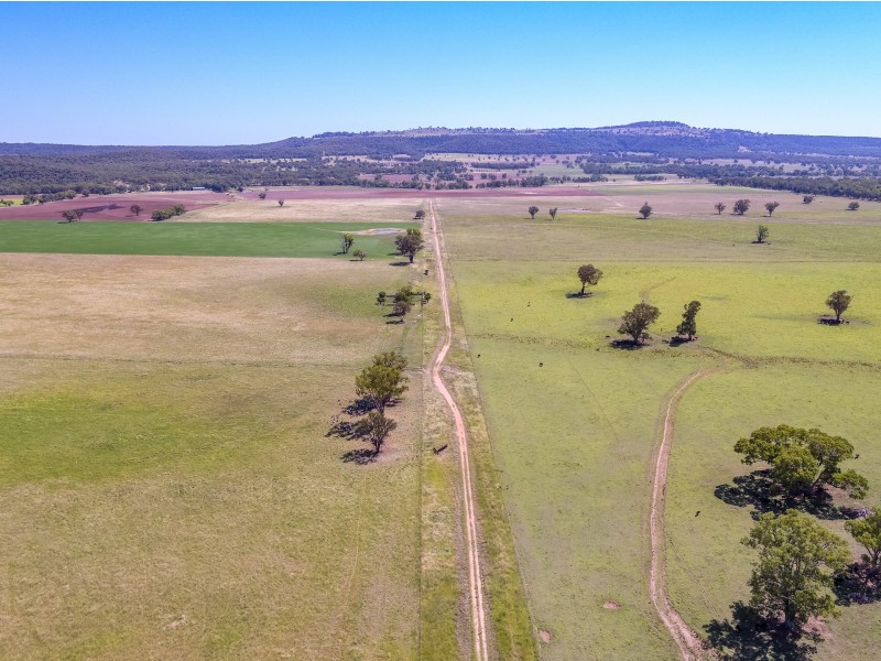 KINDON/2824 Neilrex Road, Neilrex NSW 2831