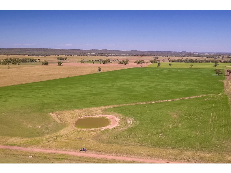 KINDON/2824 Neilrex Road, Neilrex NSW 2831