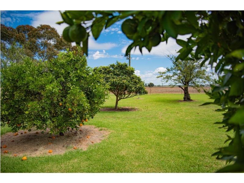 DOONA/2989 Neilex Road, Neilrex NSW 2831