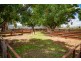DOONA/2989 Neilex Road, Neilrex NSW 2831