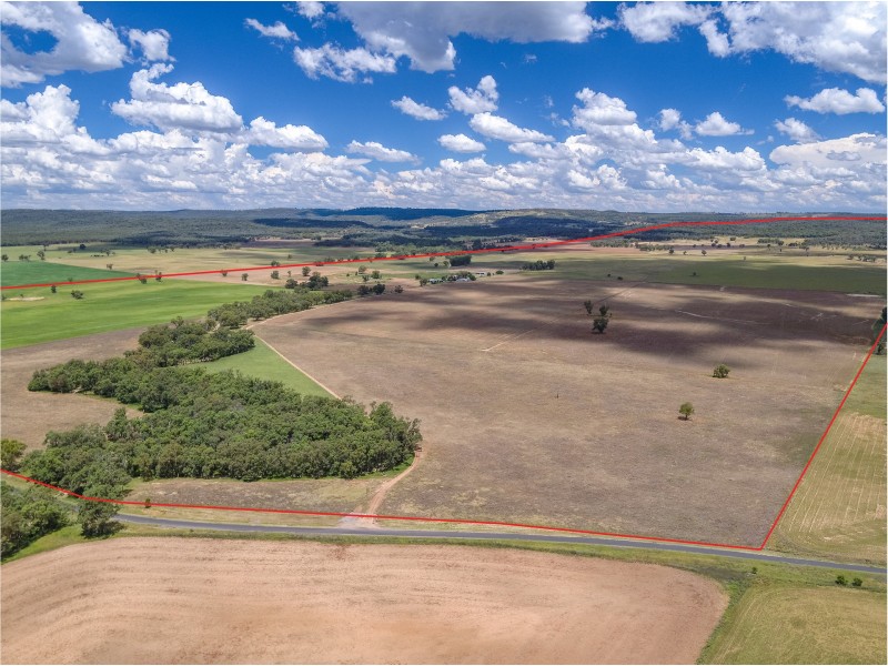 DOONA/2989 Neilex Road, Neilrex NSW 2831
