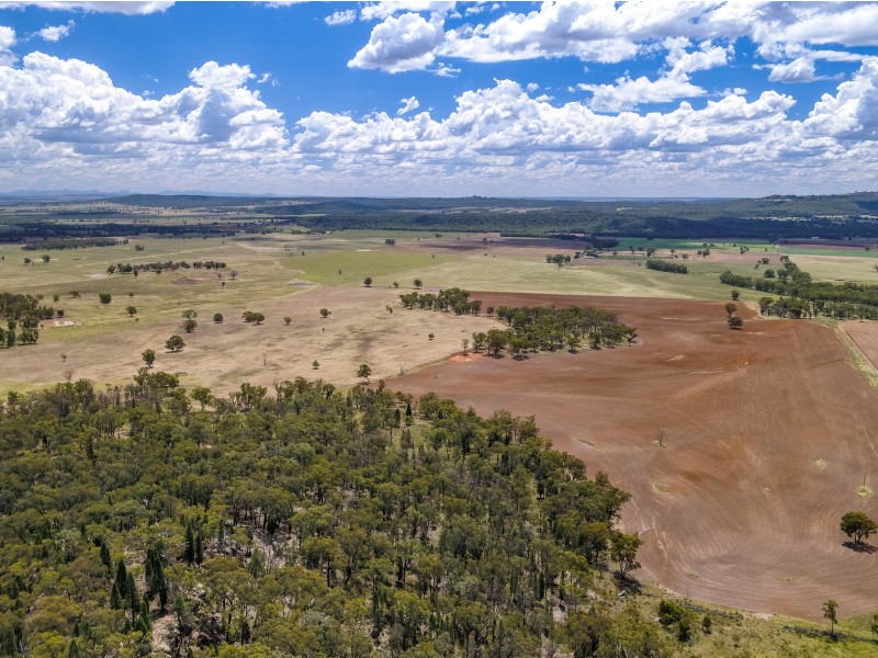 DOONA/2989 Neilex Road, Neilrex NSW 2831