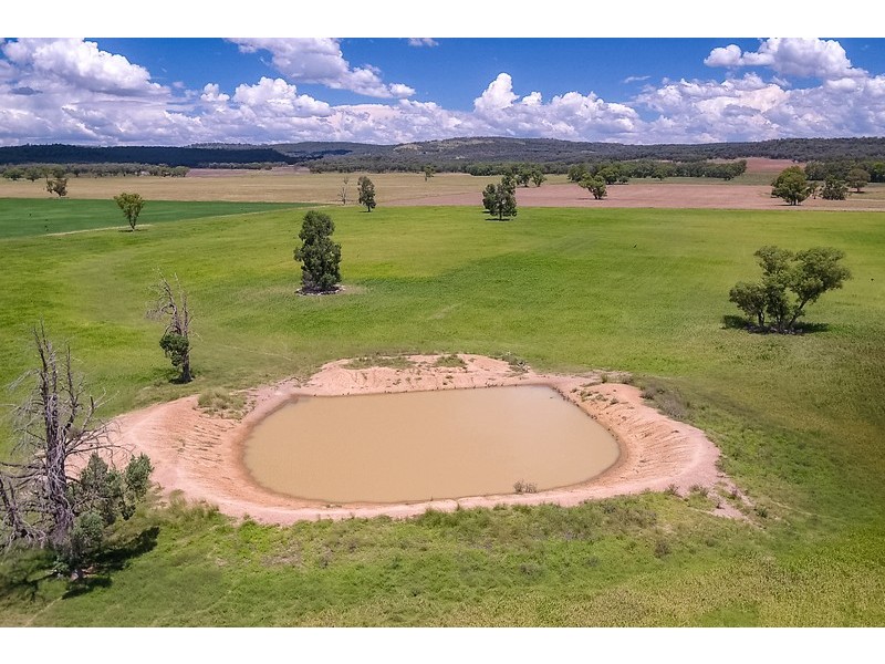 DOONA/2989 Neilex Road, Neilrex NSW 2831