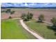 DOONA/2989 Neilex Road, Neilrex NSW 2831