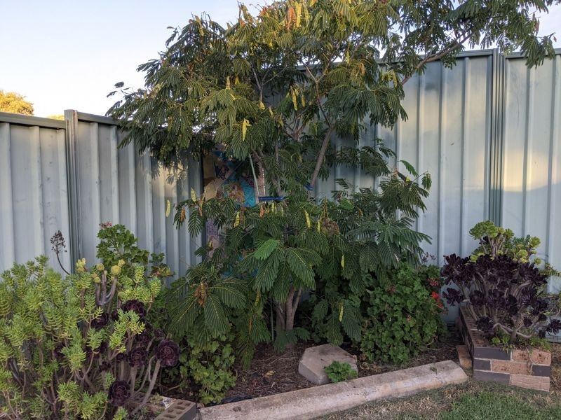50 Derribong Street, Wongarbon NSW 2831