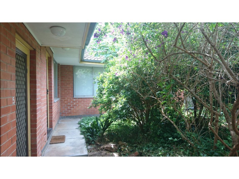 5/27 Bevington Road, Glenunga SA 5064