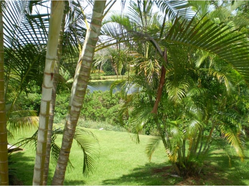 76 Ash Dr, Banora Point NSW 2486