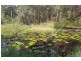 2 Newinga Rd, Wolvi QLD 4570
