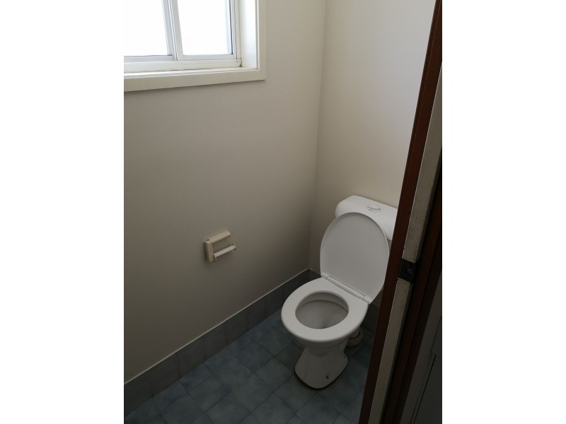 1C Norman Ave, Auburn NSW 2144