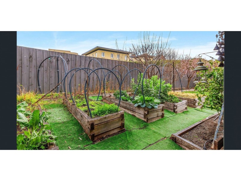 27 Fisher Avenue, Sandy Bay TAS 7005