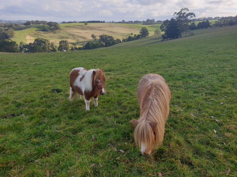 138 Weirs Road, Narracan VIC 3824