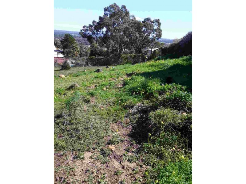 18 Looranah Street, Mount Nasura WA 6112