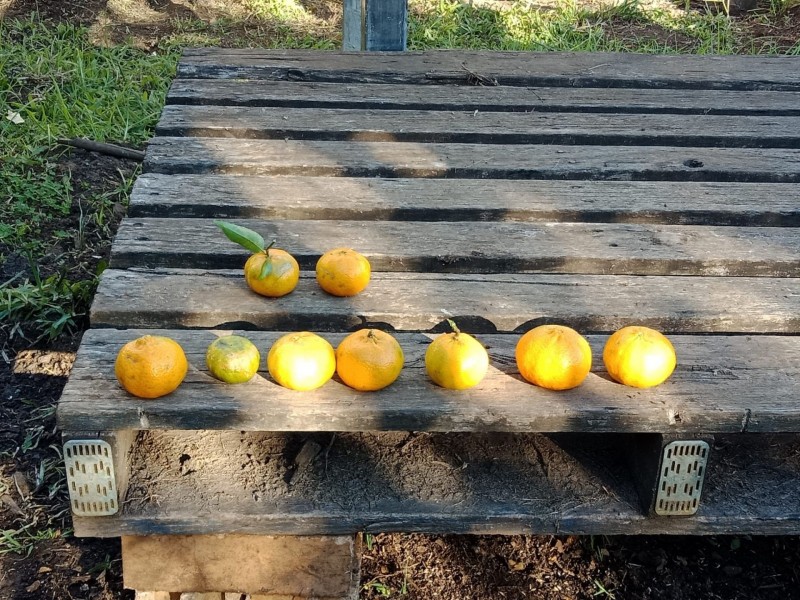 4 Pleasant St, Goonellabah NSW 2480