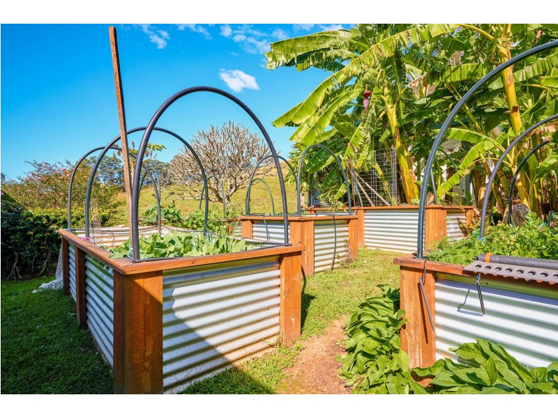 829 The Pocket Rd, The Pocket NSW 2483