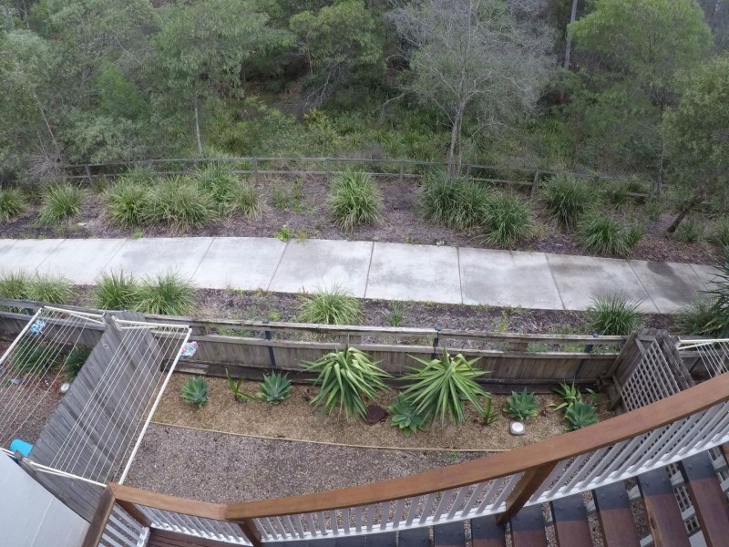 15 Periwinkle lane, Springfield Lakes QLD 4300