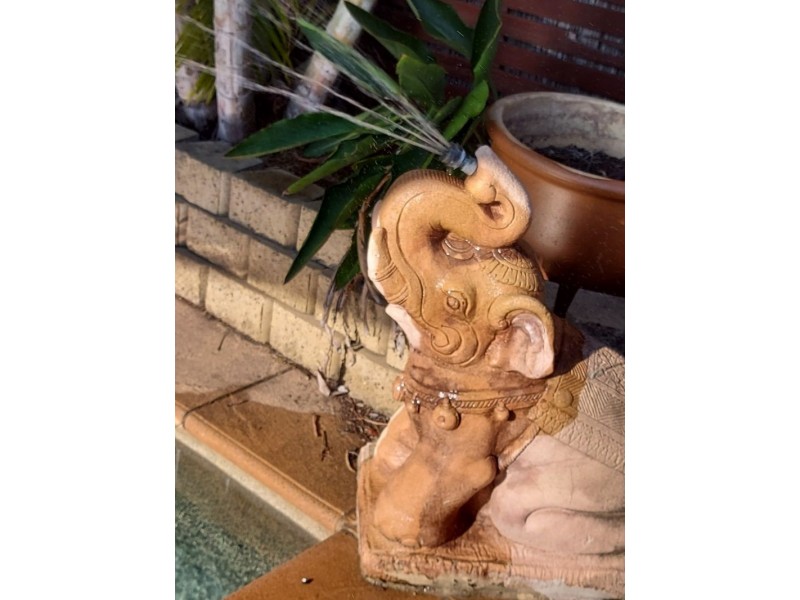 14 Bellthorpe Road, Ormeau QLD 4208