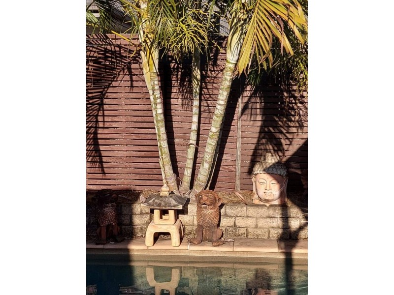 14 Bellthorpe Road, Ormeau QLD 4208