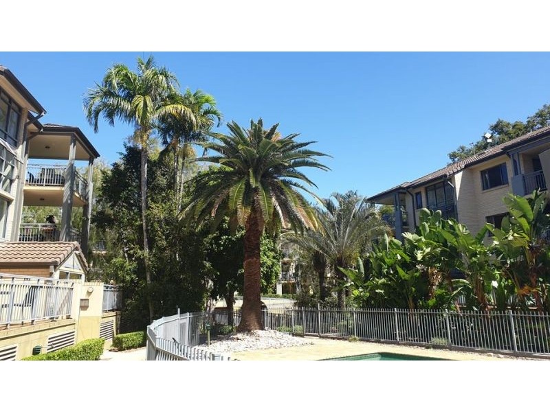 76/300 Sir Fred Schonell Drive, St Lucia QLD 4067