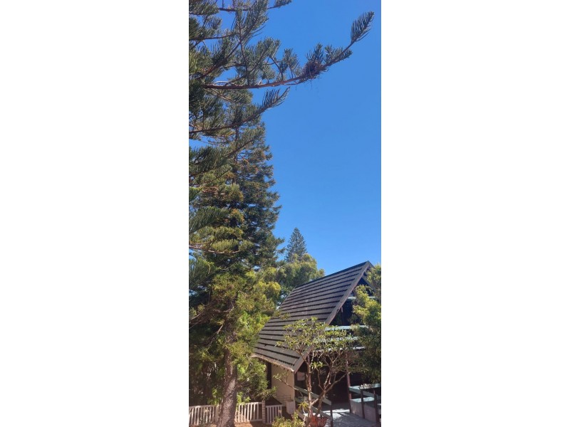 24 Hilda Road, Waikiki WA 6169