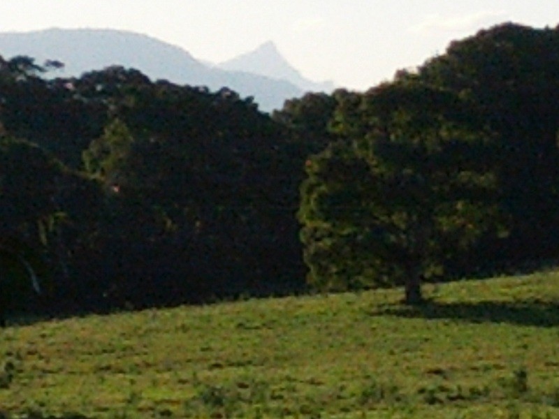 3 IVORY CURL COURT, Ewingsdale NSW 2481