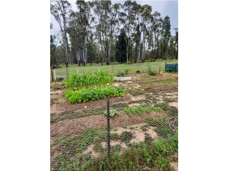 28 Fairford Rd, Warialda NSW 2402