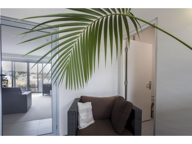 3/217 Hay Street, Subiaco WA 6008