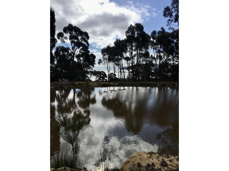 159 White Beach Road, White Beach TAS 7184