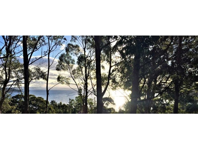 159 White Beach Road, White Beach TAS 7184