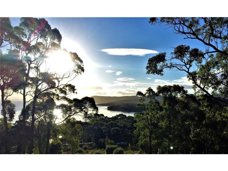 159 White Beach Road, White Beach TAS 7184