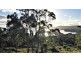 159 White Beach Road, White Beach TAS 7184