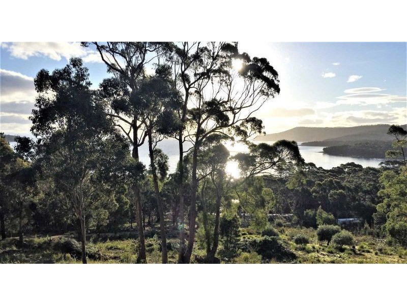 159 White Beach Road, White Beach TAS 7184