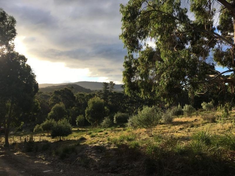 159 White Beach Road, White Beach TAS 7184