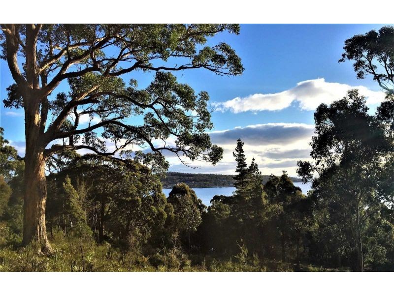 159 White Beach Road, White Beach TAS 7184