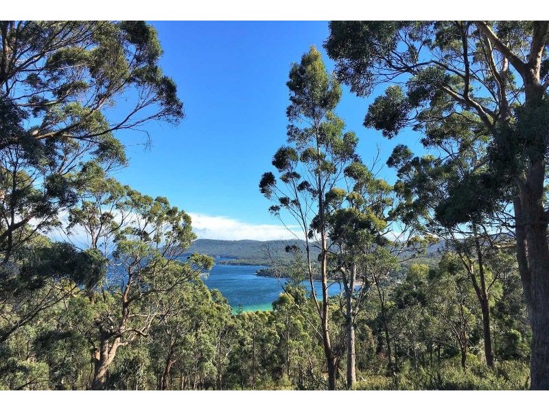 159 White Beach Road, White Beach TAS 7184