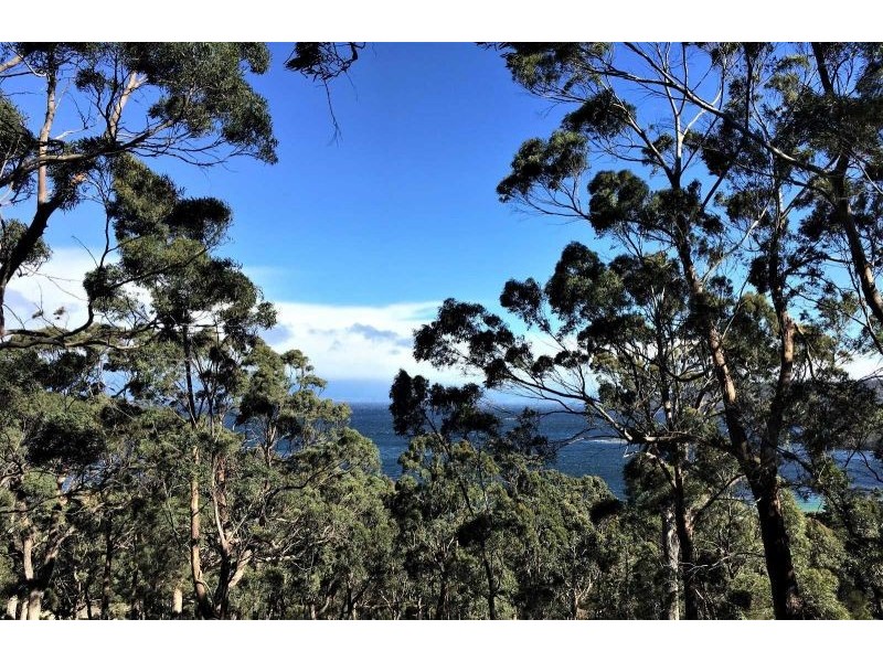 159 White Beach Road, White Beach TAS 7184