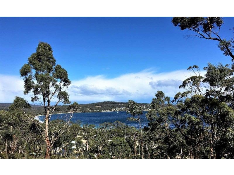 159 White Beach Road, White Beach TAS 7184
