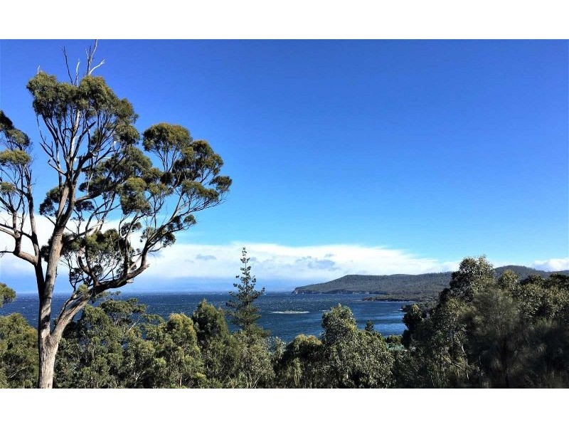 159 White Beach Road, White Beach TAS 7184