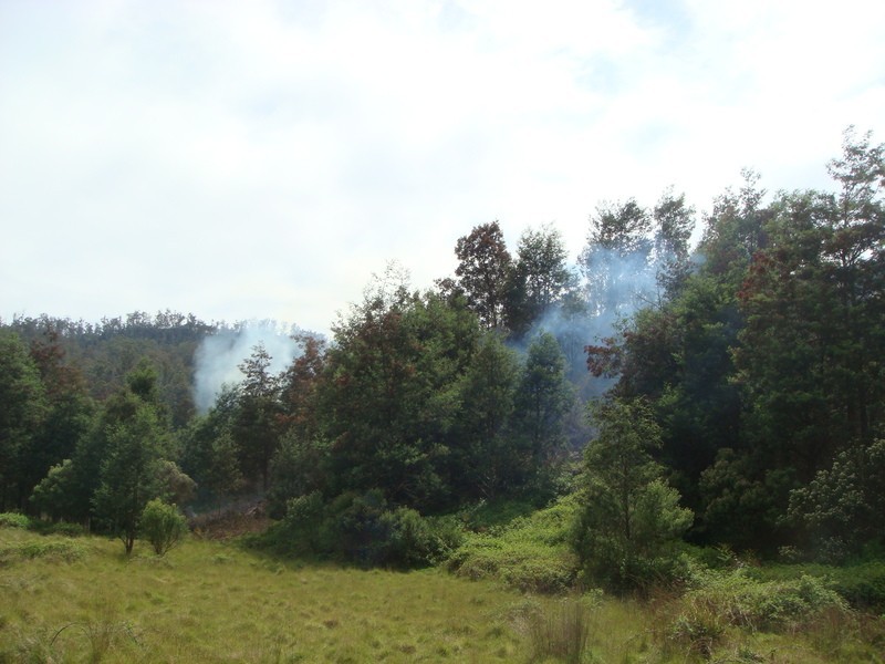 635 Gulf Road, Liffey TAS 7301