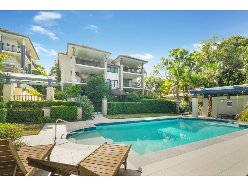 53 Warren Street, St Lucia QLD 4067