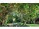 60 Mc.Dougall St., Kyogle NSW 2474
