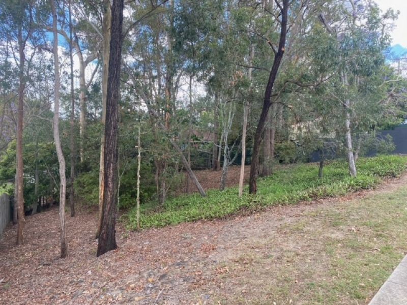 50 Plucks Road, Arana Hills QLD 4054