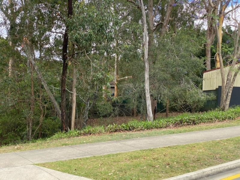 50 Plucks Road, Arana Hills QLD 4054