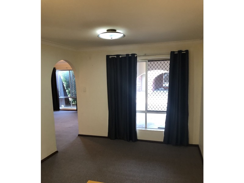 262 Holbeck street, Doubleview WA 6018