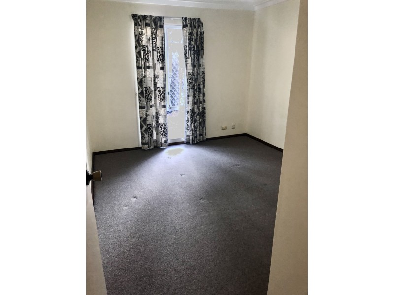 262 Holbeck street, Doubleview WA 6018