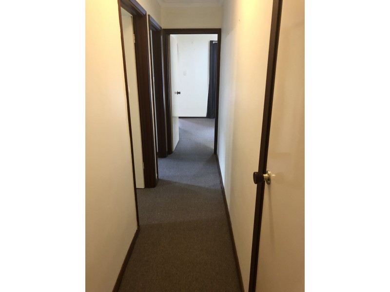 262 Holbeck street, Doubleview WA 6018