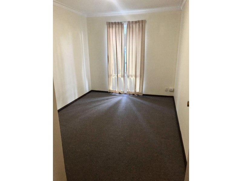 262 Holbeck street, Doubleview WA 6018