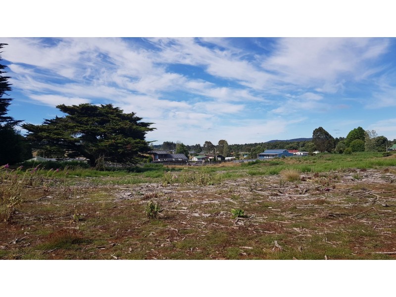 1+3 Moore Street, Waratah TAS 7321