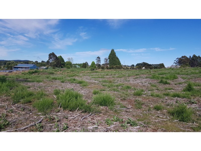 1+3 Moore Street, Waratah TAS 7321