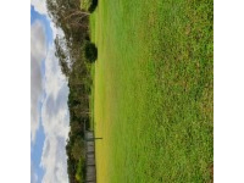 63 Nautilus Drive, Cooloola Cove QLD 4580